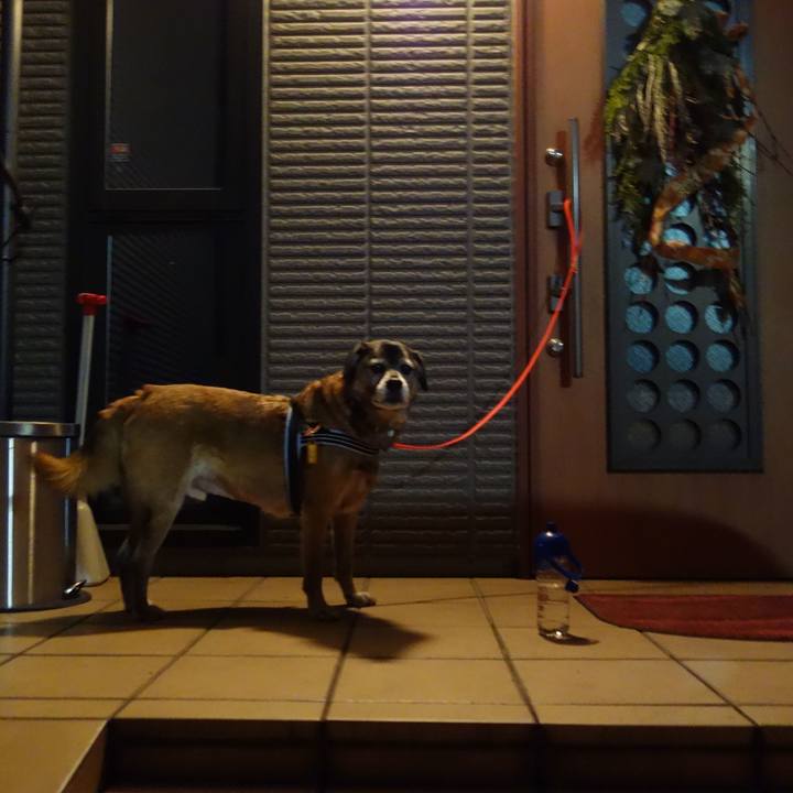 C264c0f6 7658 471e 830e 161a523a95b6 1512210250269