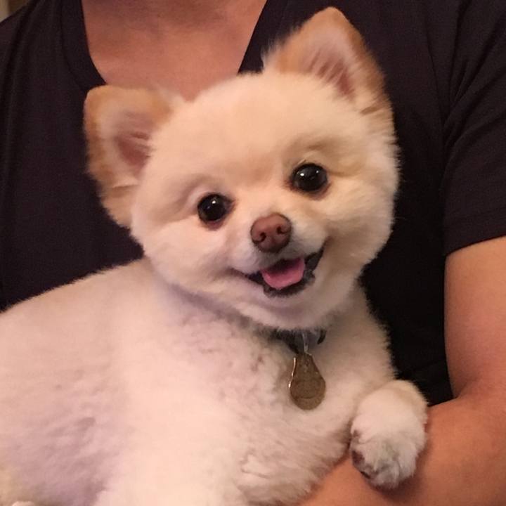 C264ffaa db4e 4f8f 81f0 16acb0dc1145 1561678314393