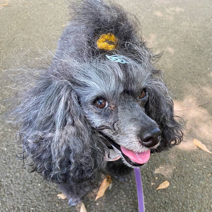 C26526a4 8ba8 4040 b0f8 3d75dbd14151 1756623180306