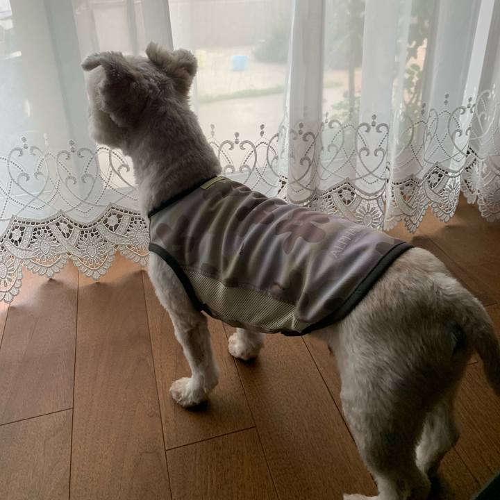 C2653709 853e 4ad6 b0c4 315da48c21ee 1721907044631