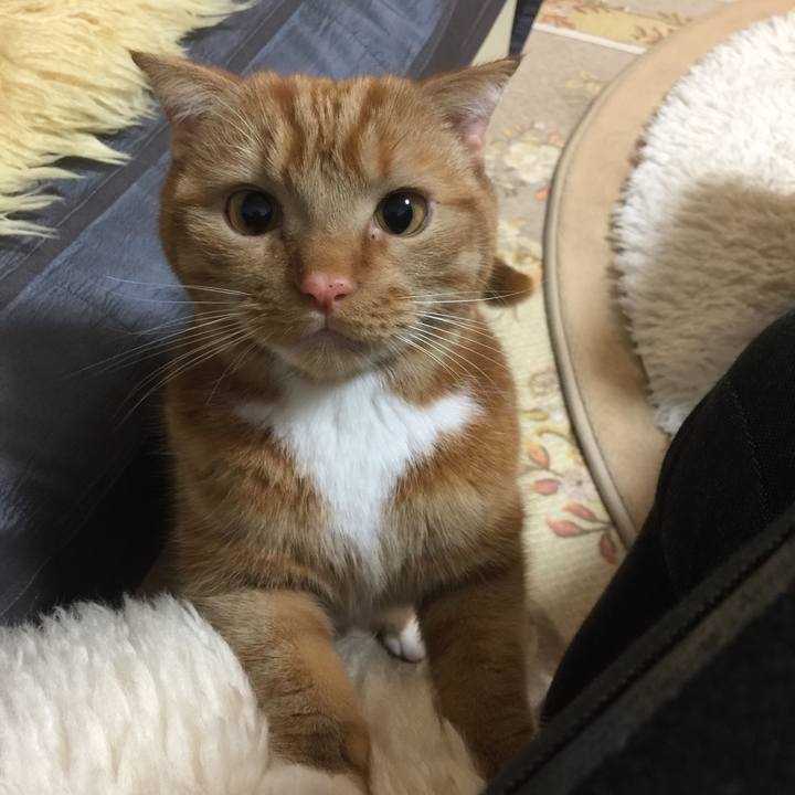 C26548b5 fd3e 4c8e bf2d 8a32a535f76a 1553212127451