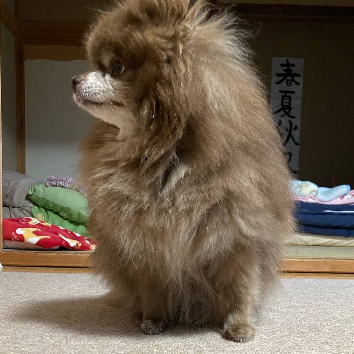 C265a926 fb4a 4f2f b150 1d226ab2916c 1733873857845