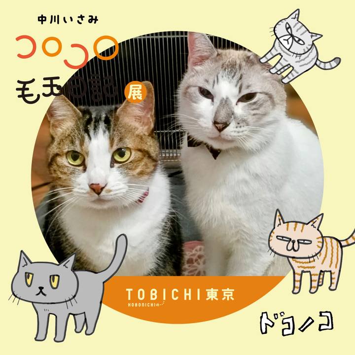 C265b3de 0ef6 48eb 9871 bb4f19c0046c 1740125333936