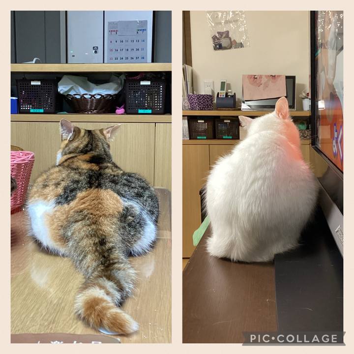 C265f889 e8a7 47c2 9a56 21b8cd37d665 1653127582839