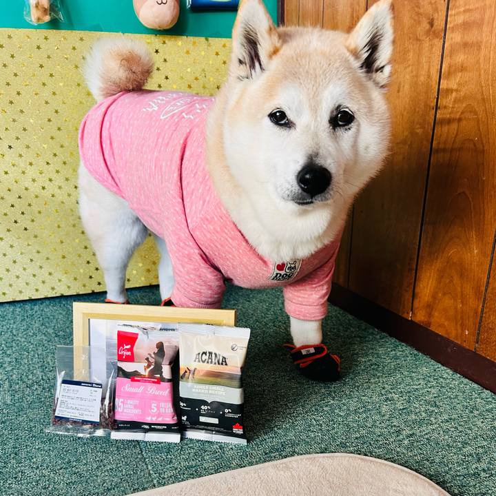 C265fdea 427b 46d5 8314 b2785a5f61af 1741485527600