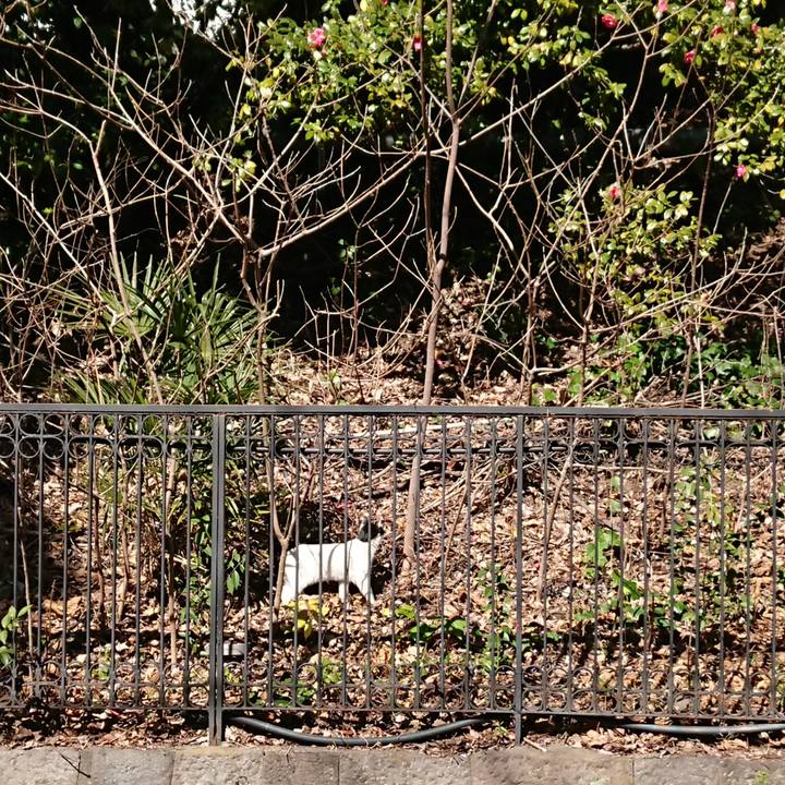 C2661872 8bca 4d1d 92eb c057e5d60664 1582790247963