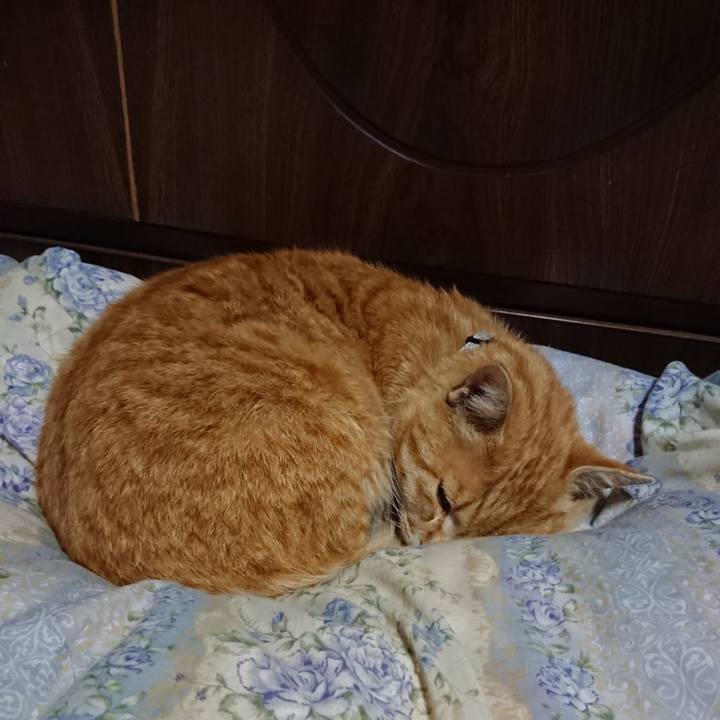 C2667594 0dbb 47c2 a94a ab825409134e 1588073017731