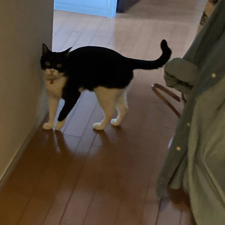 C2673c7a 0d24 4608 a8ea da3e02a488ff 1624333299812