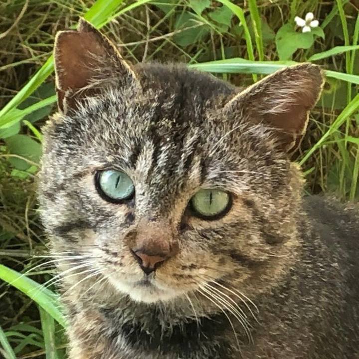 C2675f5b 9251 457d 9c05 fa21170aaf29 1625559205118