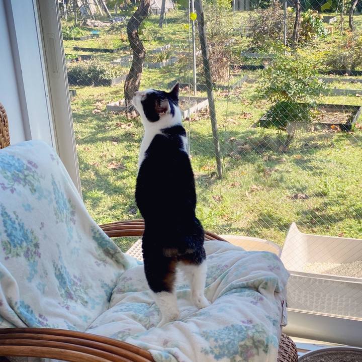 C2676945 459f 46cb a82f 045ec37e4baa 1604114473441