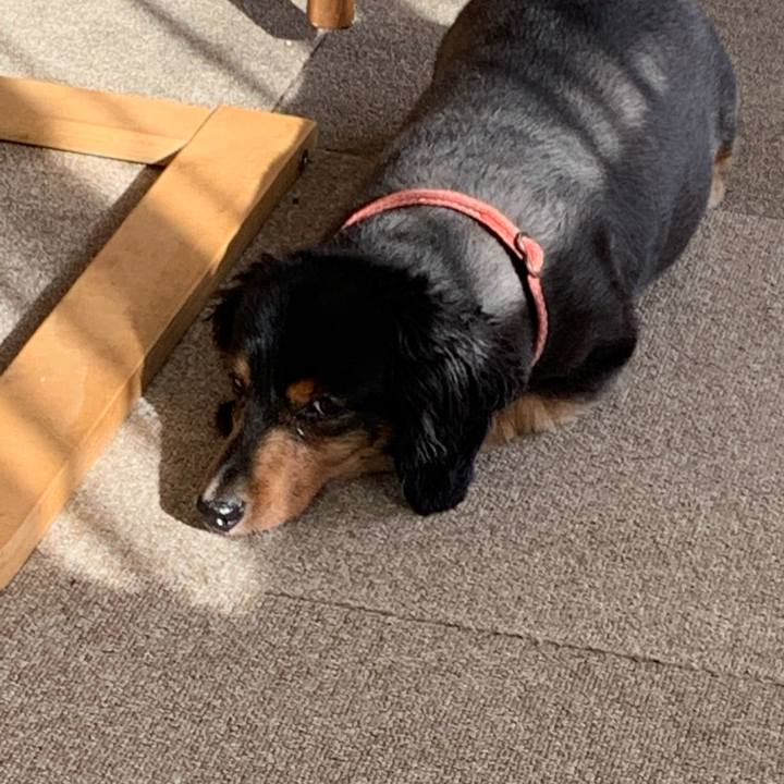 C2677c7f 0d35 45ec aadf 587d6bb5a75e 1593727121328