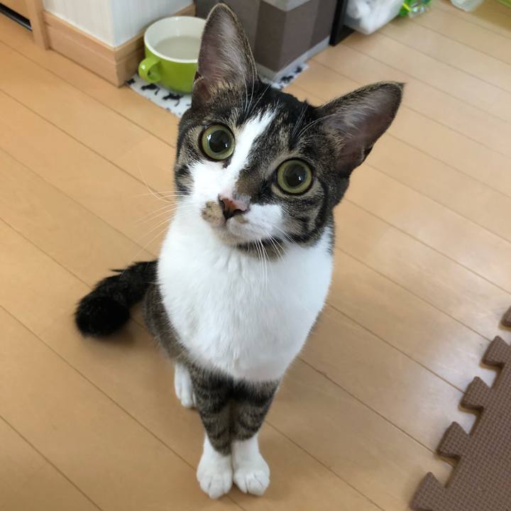 C26780e2 a9ee 45f8 930a 78ebbf3a85a7 1533263309265