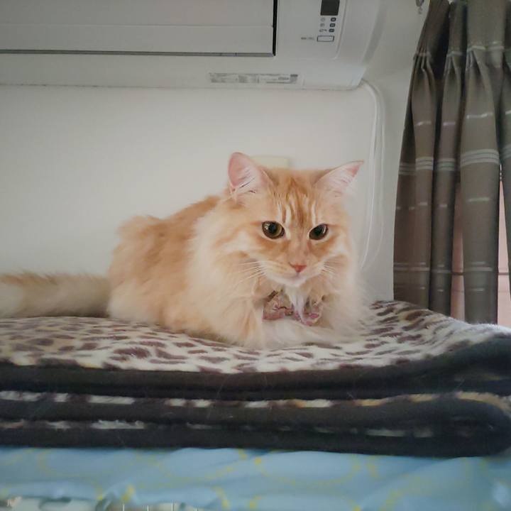 C2678523 4989 45e6 9982 cc575a709017 1687124910997