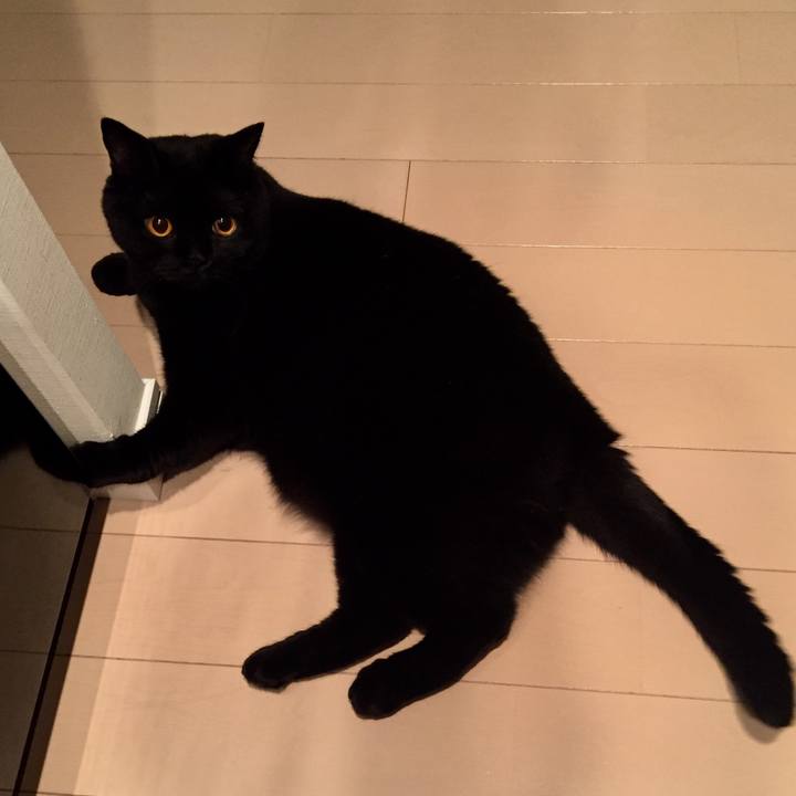 C2679aaf f9a0 4ae6 ba01 47a0e47ad280 1534328634100