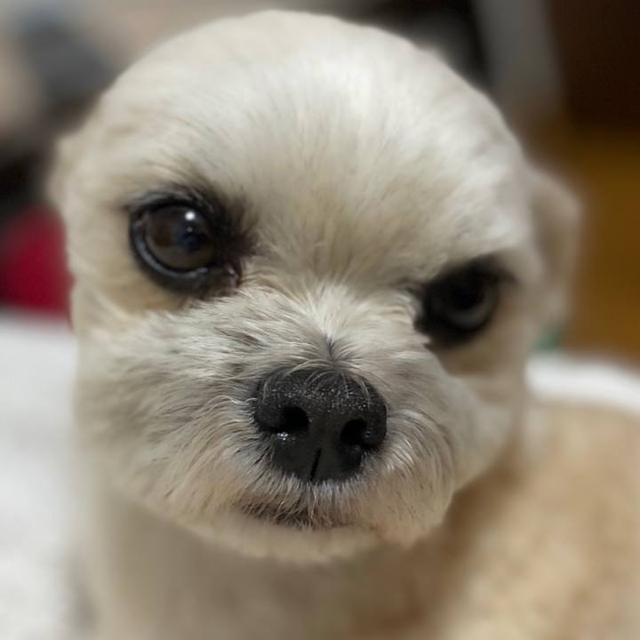 C267d373 9d14 413c ace3 ff9ae3dc12f8 1584195056675