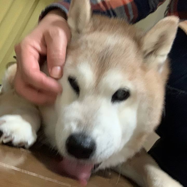 C267e1d6 135b 4d46 a400 4154e10c3eab 1665148634962