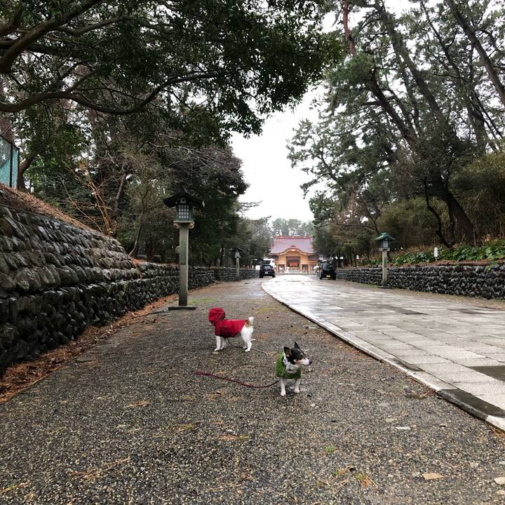 C267f525 3170 4175 bfb2 e320d9b7b782 1580256366837