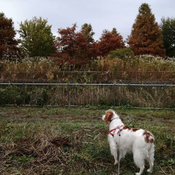 C267f8c6 082a 48d8 b2d4 2b1f261fc845 1605238633433