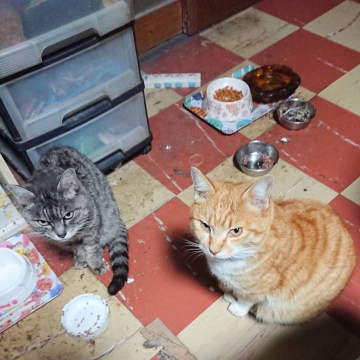 C2680f3e e407 4474 b955 a333c819727e 1583268190351