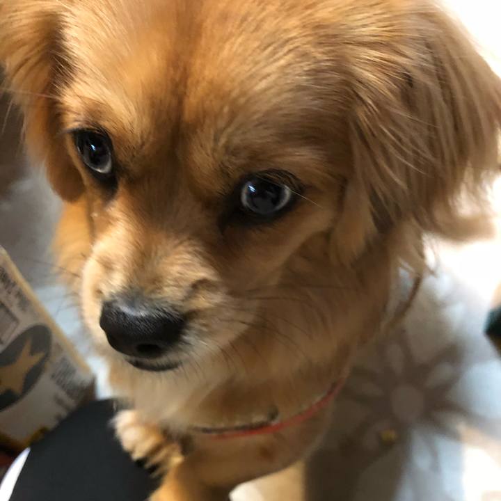 C2685a75 a61f 4c8d ad78 ed700c708a0a 1520805153374