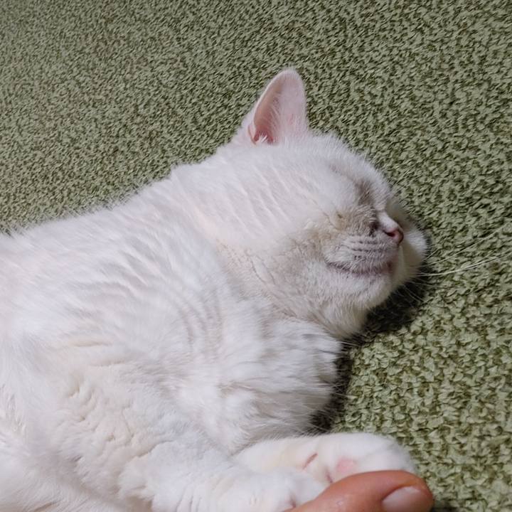 C2686c8a 4a30 4544 a847 659df5fc5627 1697709541426