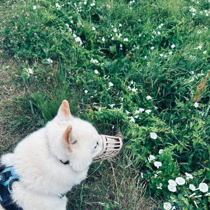 C2687662 c4db 4acc 9880 6ac99bfaa006 1752182268731