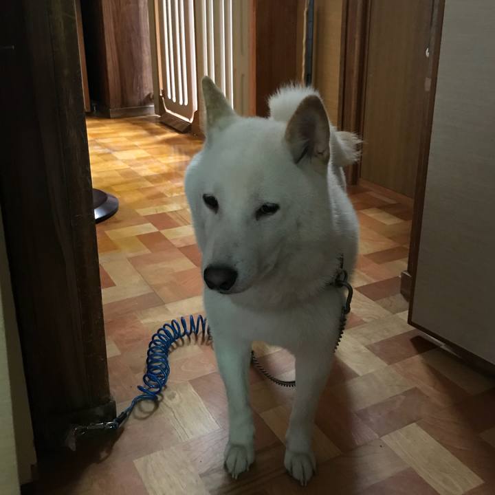 C269316c 6c3b 4eca 9983 252482db2693 1534289283341