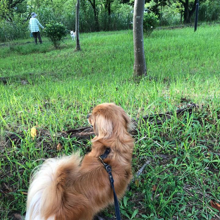 C2693b8e 85a6 41db b04d 9f9ce8cb1e27 1531432155293