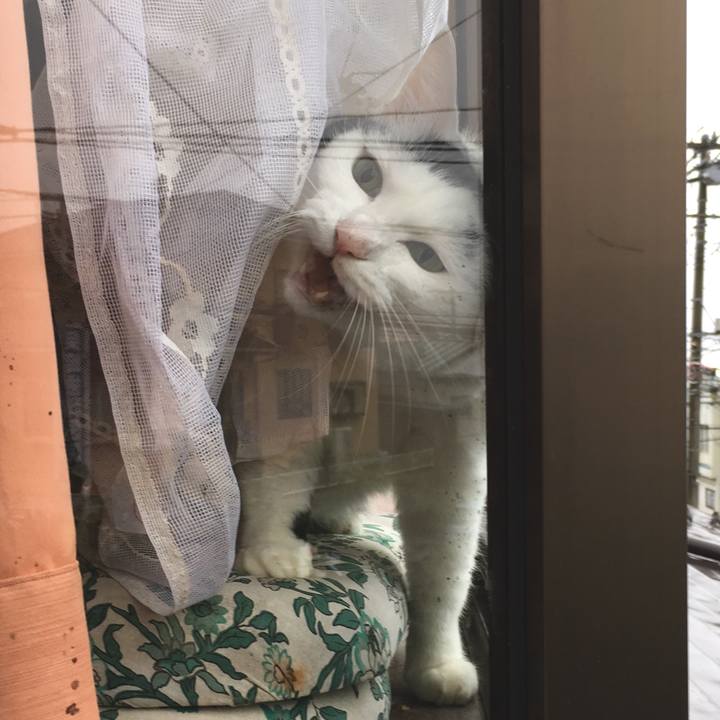 C2699657 be39 4803 a2ba 8a7884fab60d 1569901854330