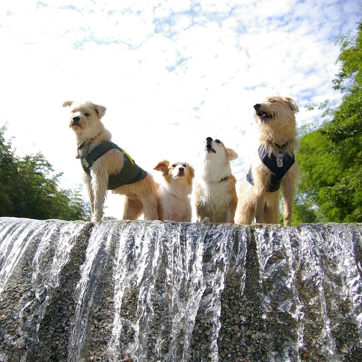 C269ebcc fb08 403f 90a1 a3cbdd972037 1536145591839