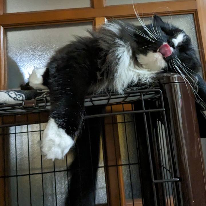 C269f8f6 9644 4ba3 ae0e c92b70d9fa6f 1687657404692