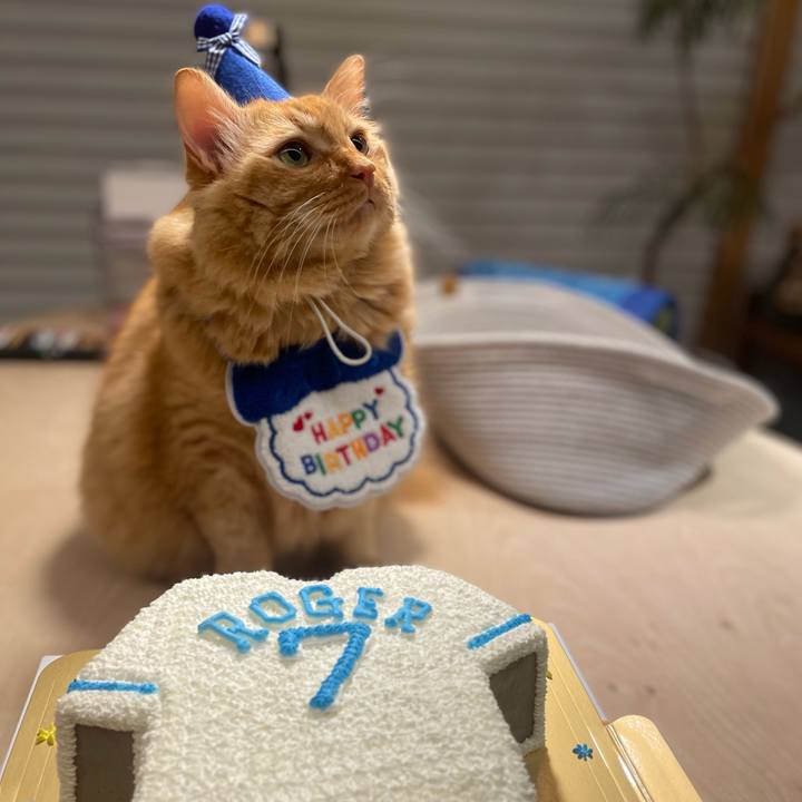 C269fad6 969e 44fb 8cad a0264e5644ed 1768828375847