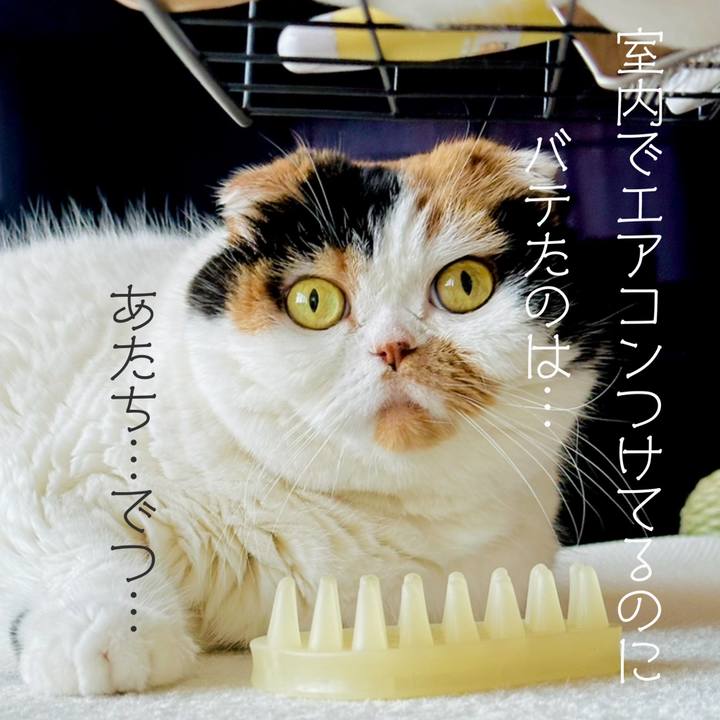 C26a0301 c088 4e1f b50c 8633526235d5 1720680179190