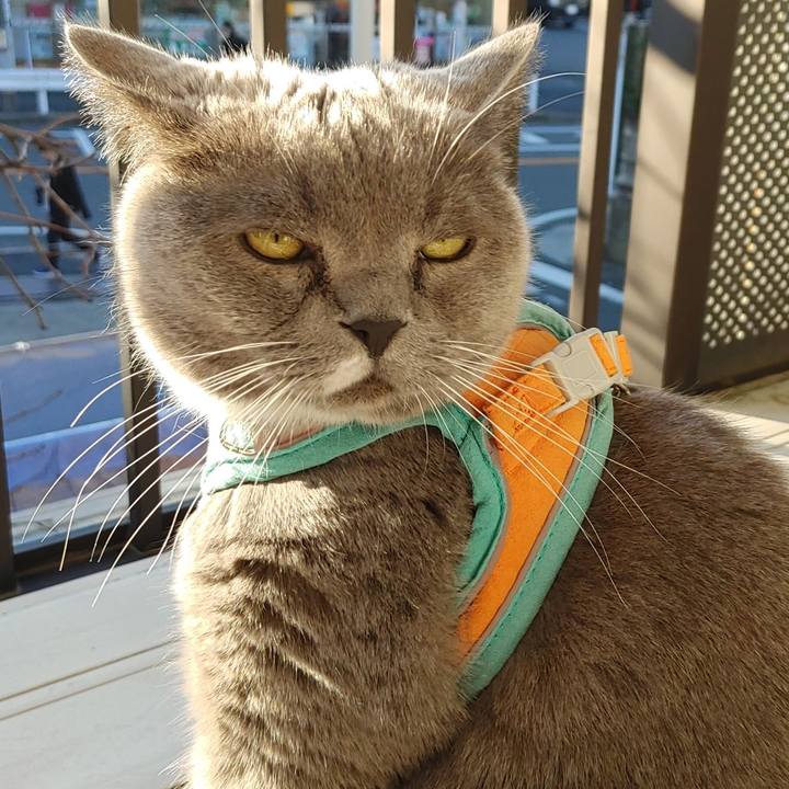 C26a1aae 2c1d 47df 9629 a5785c592827 1701475633364