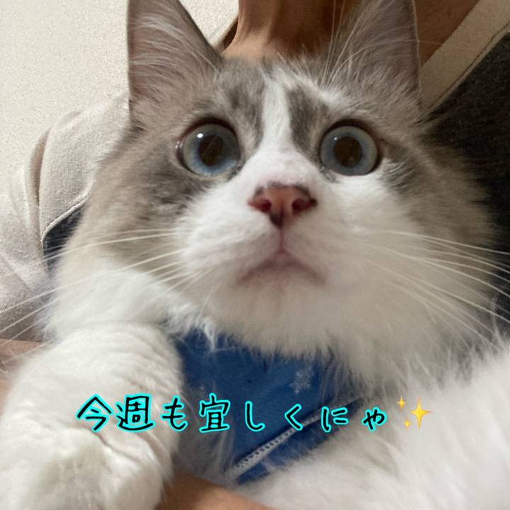 C26a421d 9f70 47f4 8db4 69cb445c3166 1716752202844