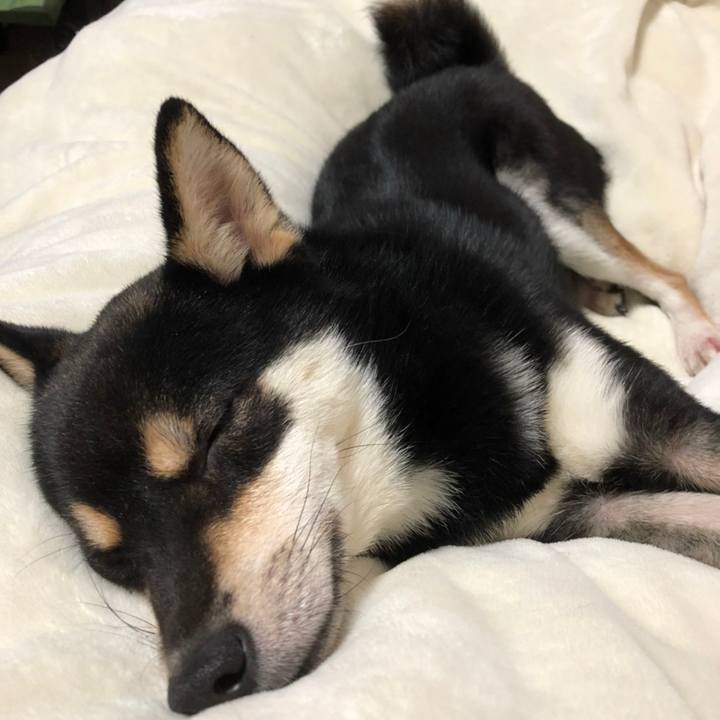 C26a5c02 590c 4299 ba5c 72a364f6e702 1608515316038