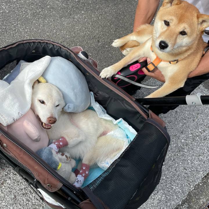 C26a7a8a 4b73 4ea2 8509 e55e46219bd9 1685139865930