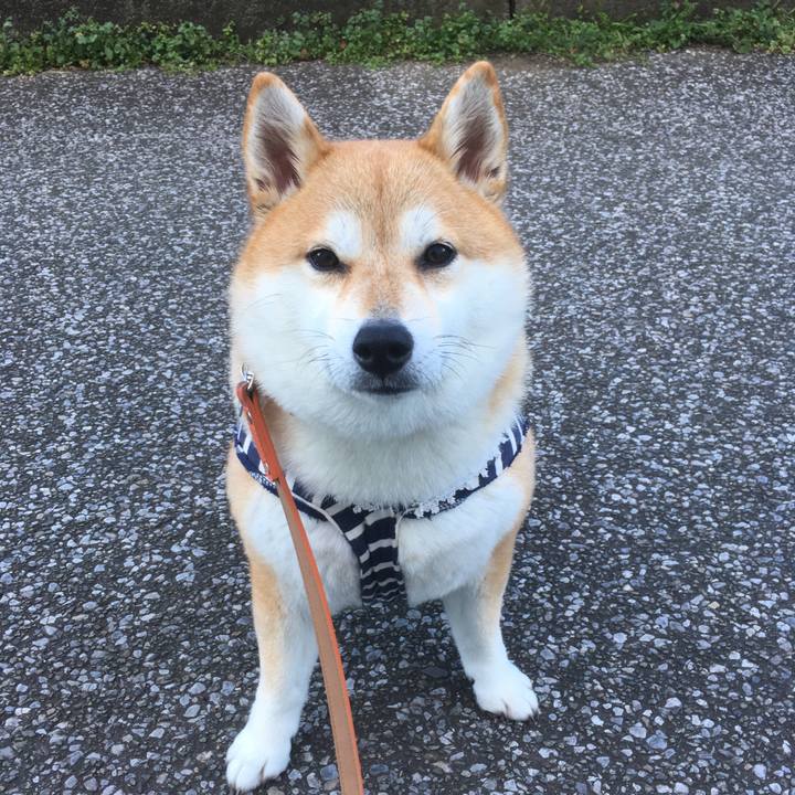 C26a7d0b eaab 46ee 885a 02e6d9b28f5d 1546234313644