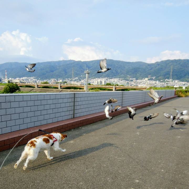 C26a7df3 e08d 4a98 8a19 8e1bf7d9659f 1560252769200