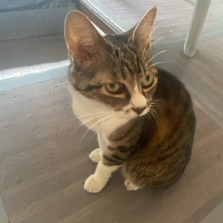 C26a7e51 d447 4d89 a9c4 1ce54bff9fee 1658019347451