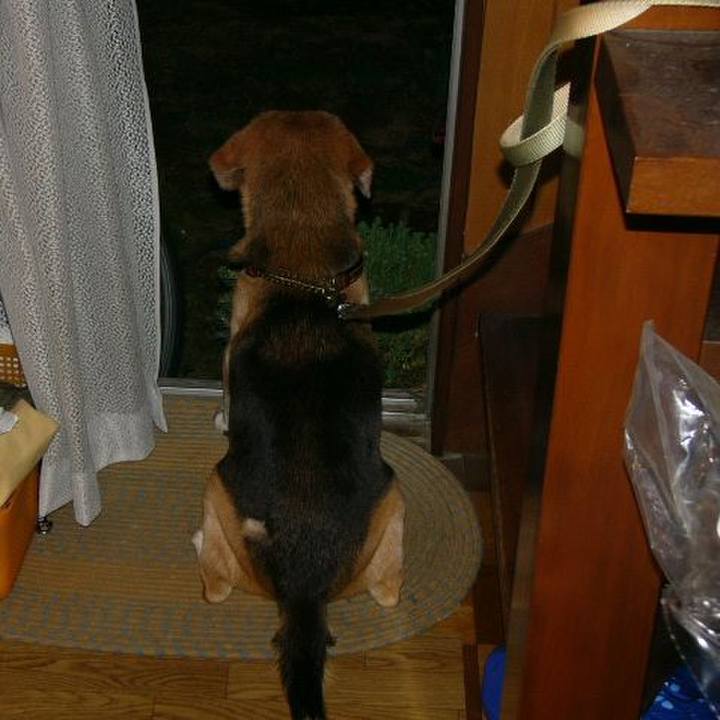 C26a8a11 c735 47c3 86fd 6fd91349bf4e 1641948631681