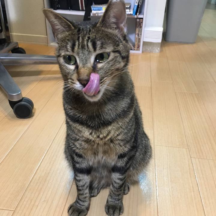 C26ae45b 8e58 4432 88d6 879a5d418180 1538200754839