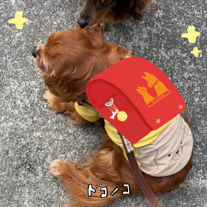 C26b1618 5d9a 4fde 8e68 758b2bc1c94c 1744373587669