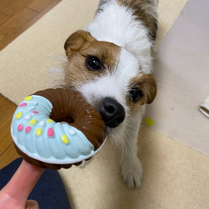 C26c02fd 69b7 41e1 9acb 83ed14462969 1640780540909