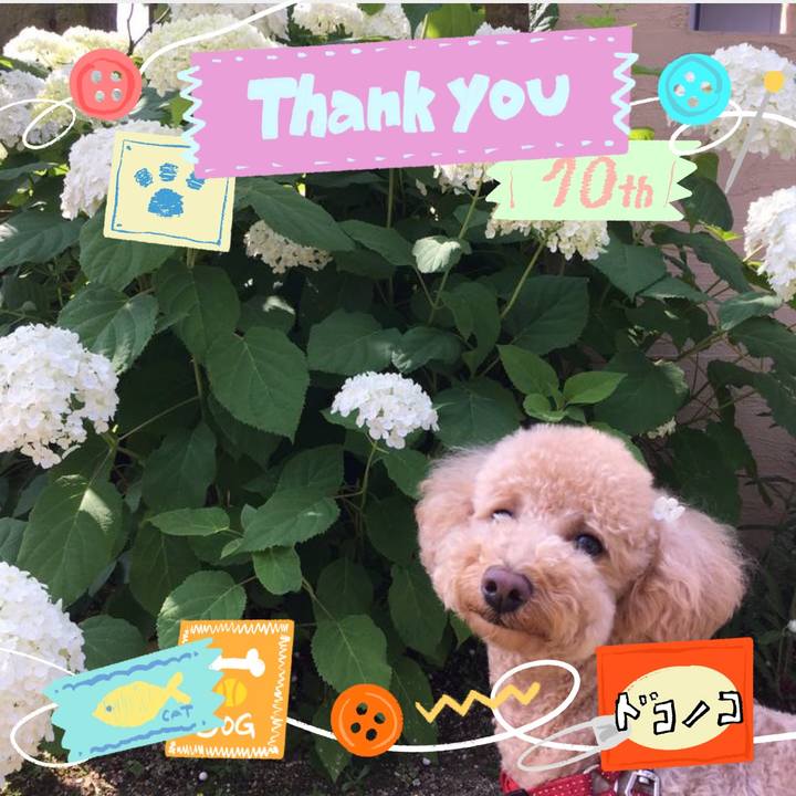 C26c1369 3acb 40a4 b765 46a3e3b0caf5 1780735612514