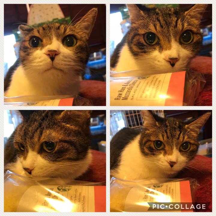 C26c22b5 0cee 4897 b635 233aa99313e6 1529131146749