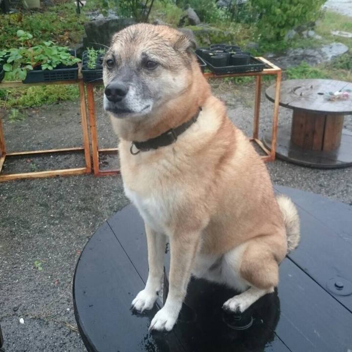 C26c4dbf 99da 4b2e 8227 824dcf36e3dc 1508627824940