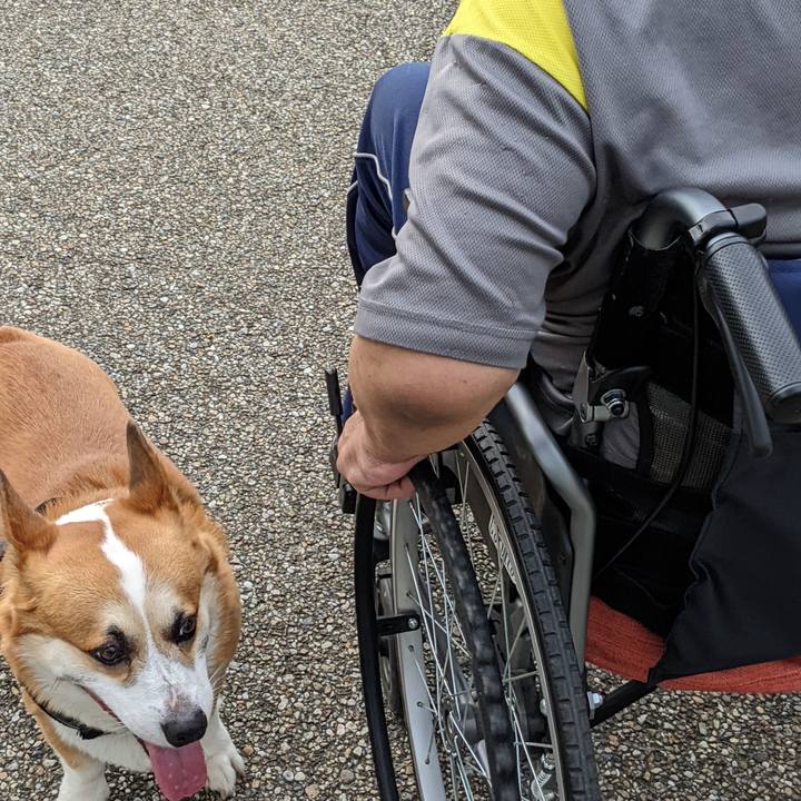 C26c6538 9dd2 4ef8 8bd2 8798602d338f 1689420742756