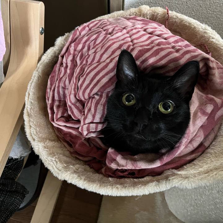 C26c759f a504 4c19 9742 c9be09b5b191 1697334003260