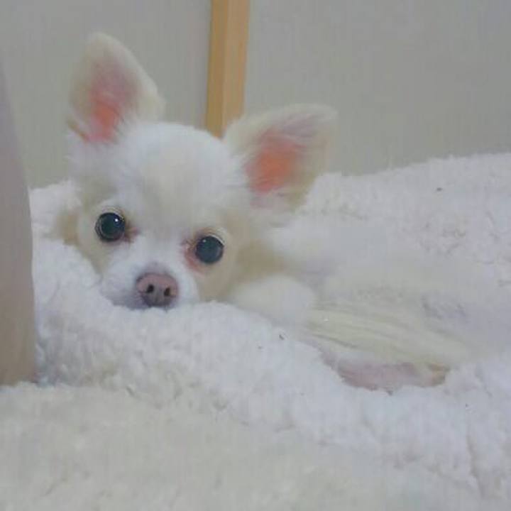 C26c7e8e daa4 4b8a 946c d553cb25c73b 1555934889851